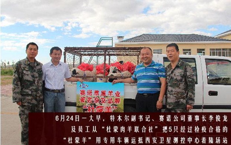 西安俊龙装饰